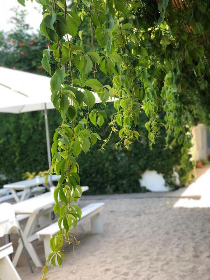 Casa Stavros Otel Două Mai Dış mekan fotoğraf