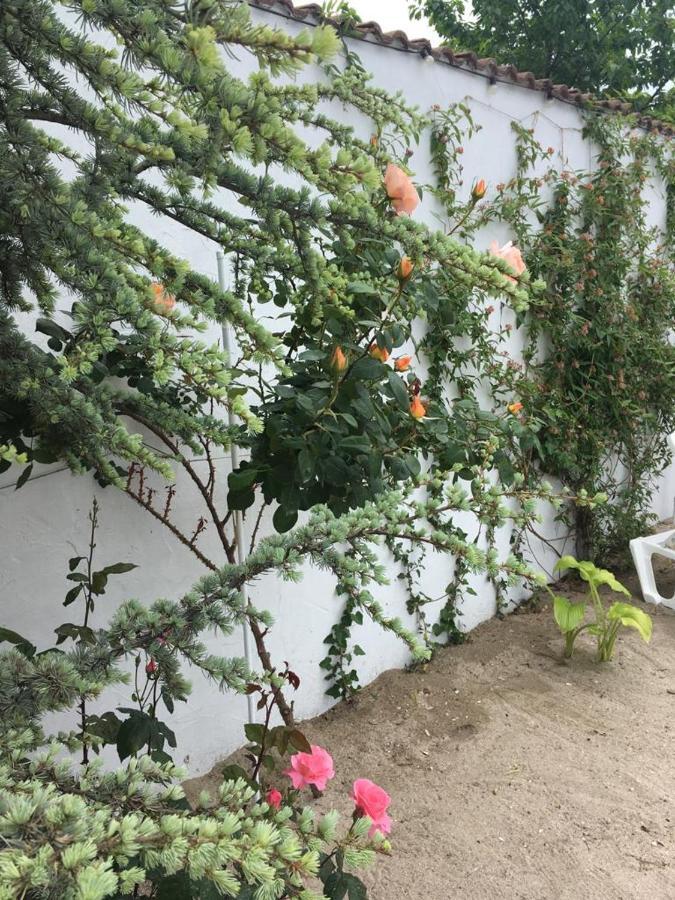 Casa Stavros Otel Două Mai Dış mekan fotoğraf