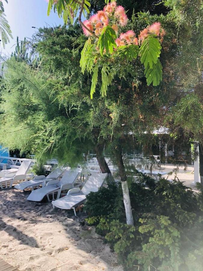 Casa Stavros Otel Două Mai Dış mekan fotoğraf